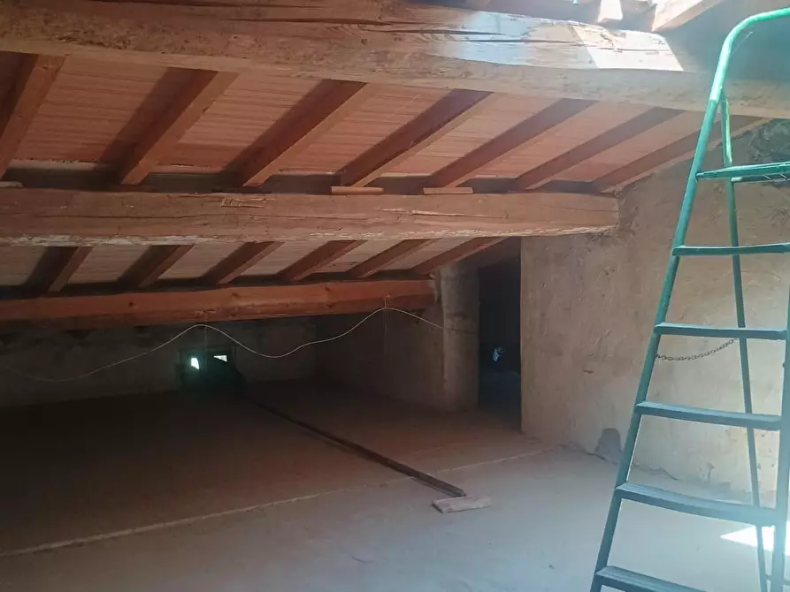 Immagine 13 di Terratetto in vendita  a Terricciola