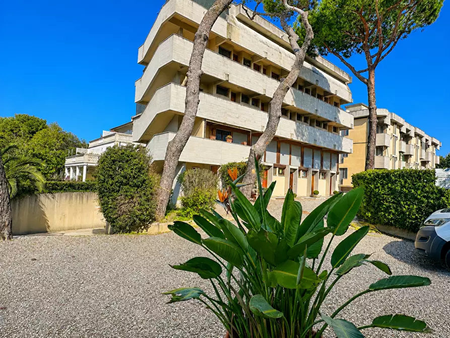Immagine 17 di Appartamento in vendita  a Rosignano Marittimo