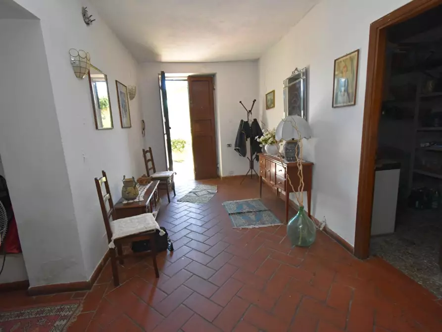 Immagine 10 di Terratetto in vendita  a San Giuliano Terme