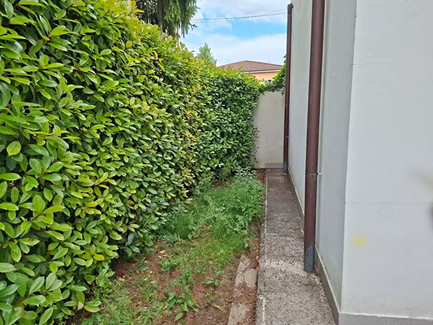 Immagine 27 di Casa indipendente in vendita  a Vicopisano