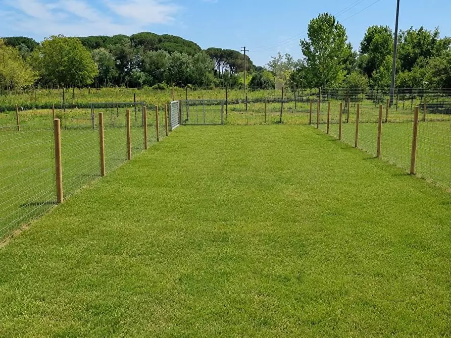 Immagine 4 di Villetta a schiera in vendita  a Buti