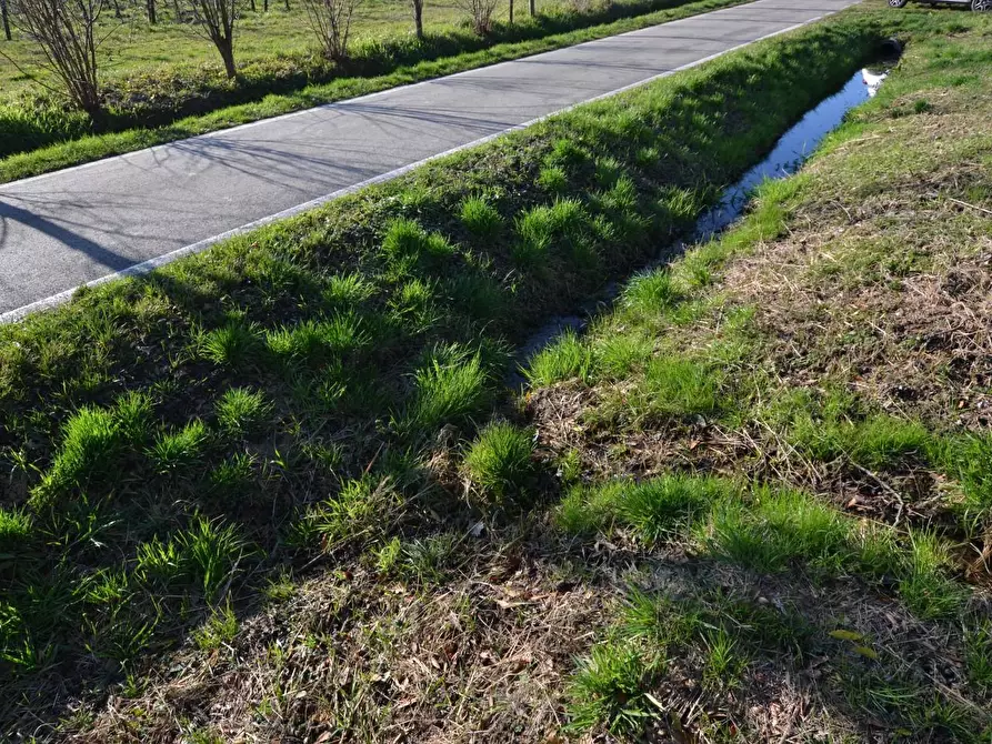 Immagine 3 di Rustico / casale in vendita  a Casale Sul Sile