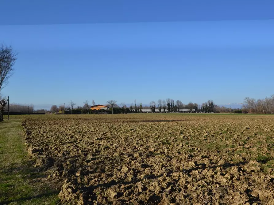 Immagine 5 di Rustico / casale in vendita  a Casale Sul Sile
