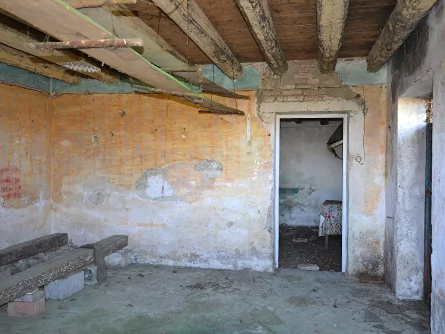 Immagine 2 di Rustico / casale in vendita  a Casale Sul Sile