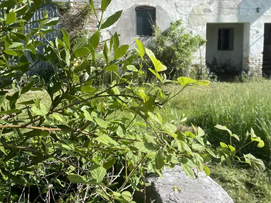 Immagine 10 di Rustico / casale in vendita  a Casale Sul Sile