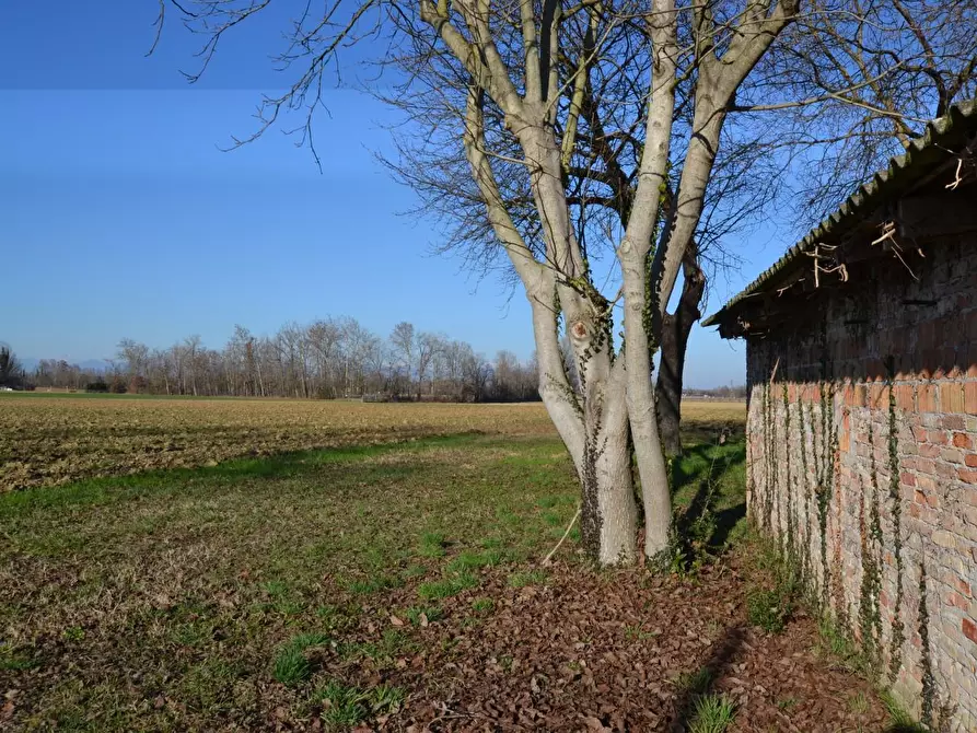 Immagine 4 di Rustico / casale in vendita  a Casale Sul Sile