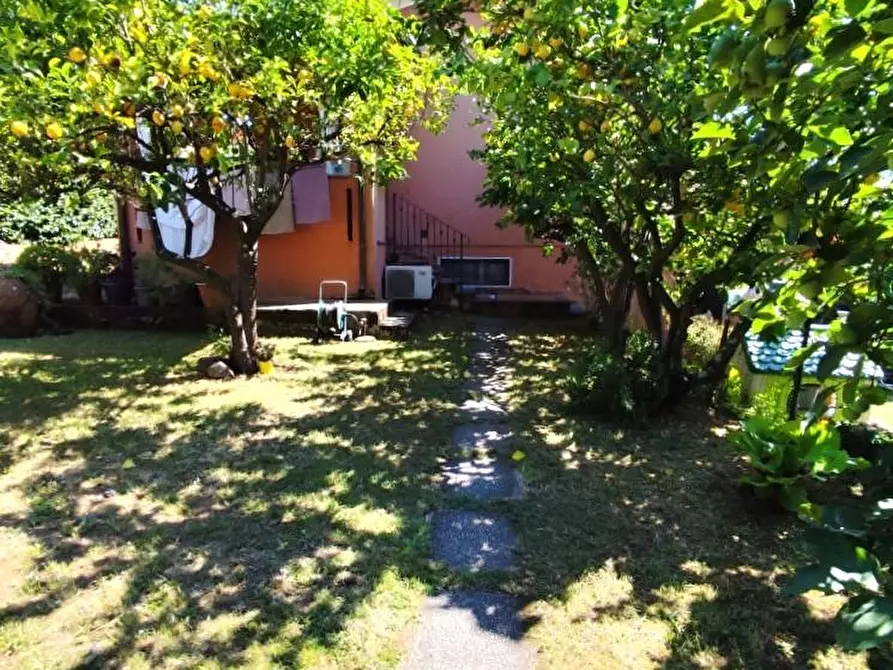Immagine 1 di Casa indipendente in vendita  a Massa