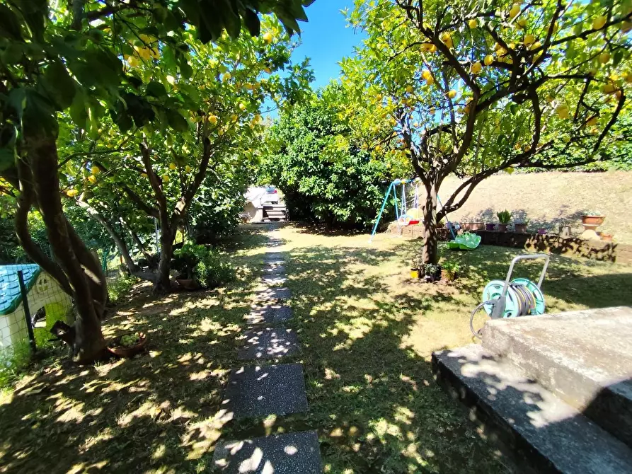 Immagine 2 di Casa indipendente in vendita  a Massa