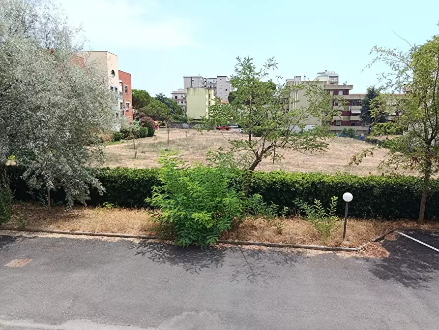 Immagine 19 di Appartamento in vendita  a Rosignano Marittimo