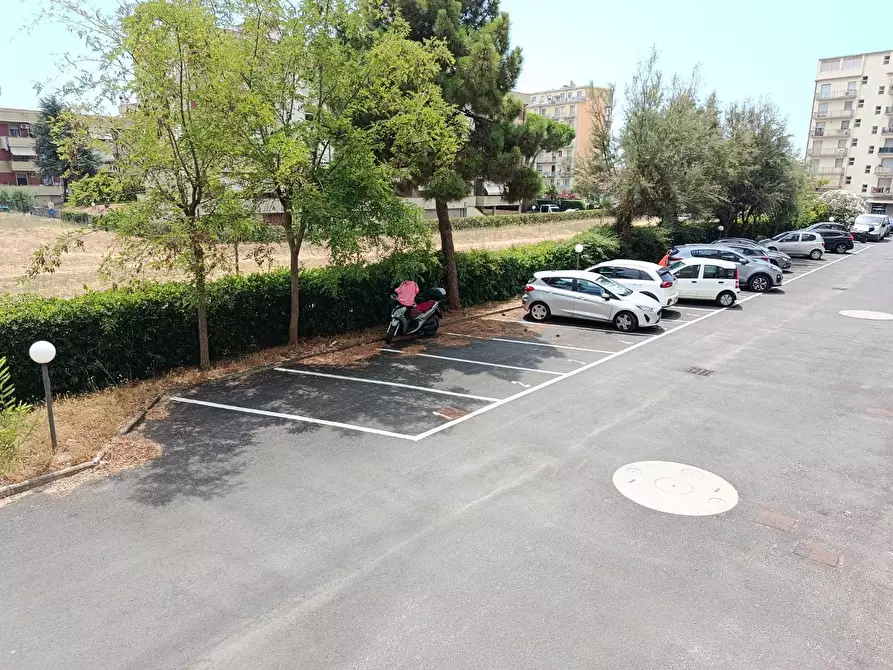 Immagine 20 di Appartamento in vendita  a Rosignano Marittimo