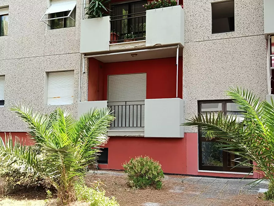 Immagine 22 di Appartamento in vendita  a Rosignano Marittimo