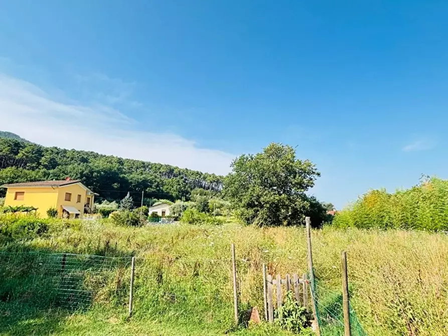 Immagine 37 di Terratetto in vendita  a Lucca