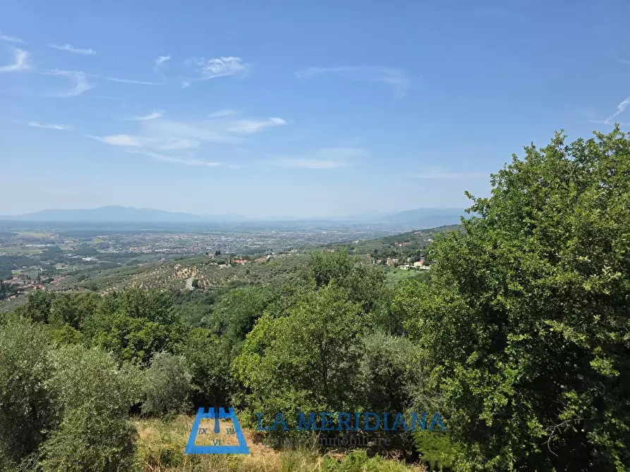 Immagine 26 di Terratetto in vendita  a Lamporecchio