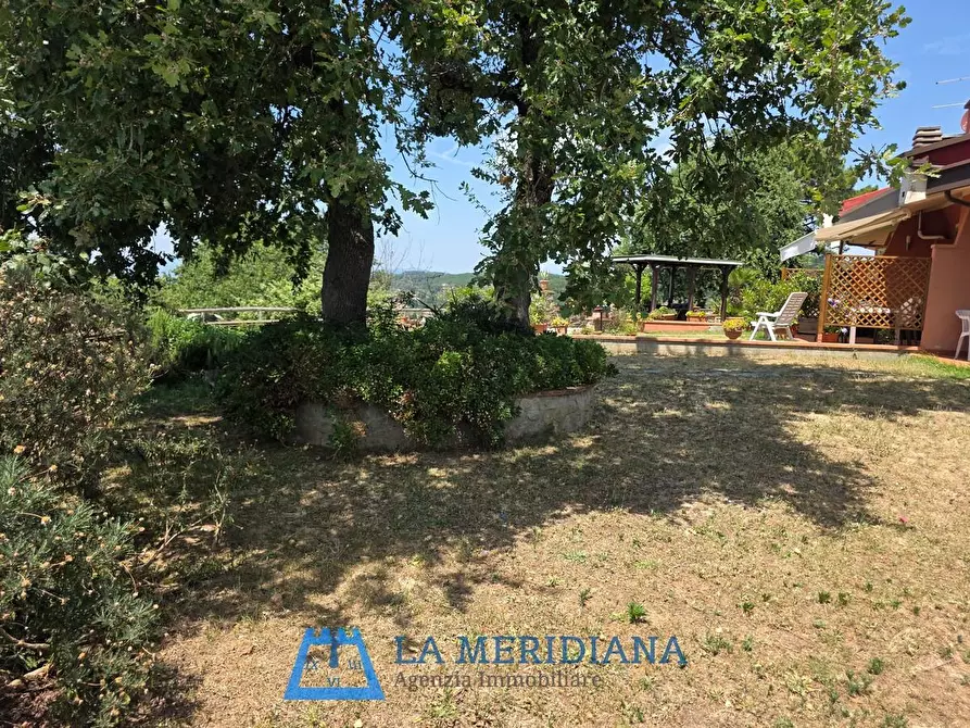 Immagine 5 di Terratetto in vendita  a Lamporecchio