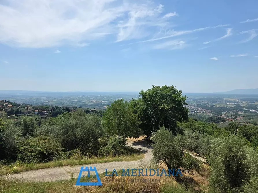 Immagine 27 di Terratetto in vendita  a Lamporecchio