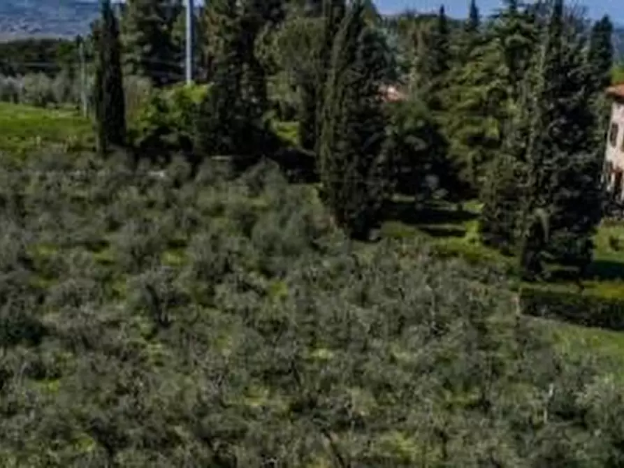 Immagine 5 di Villa in vendita  a Terricciola