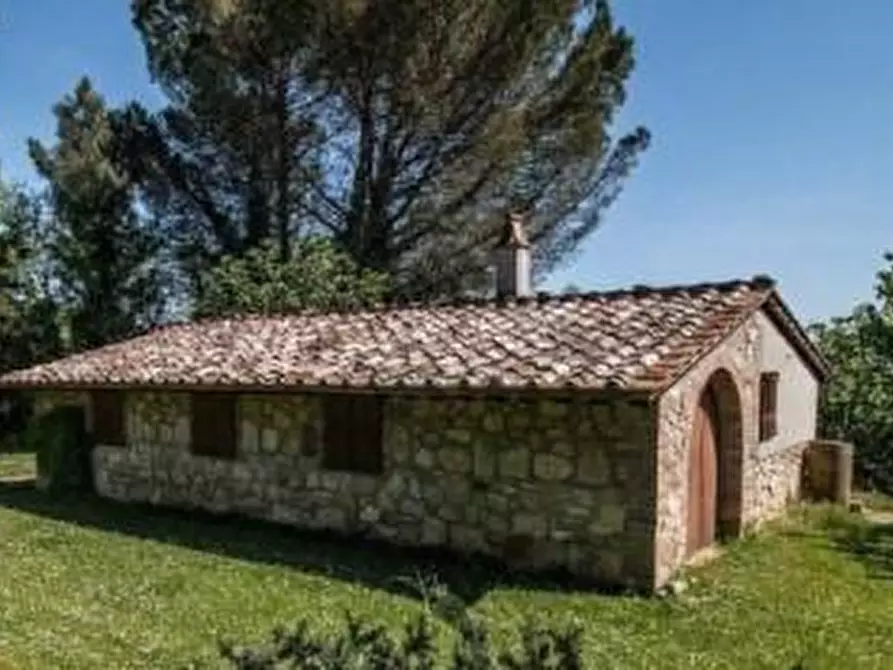 Immagine 6 di Villa in vendita  a Terricciola