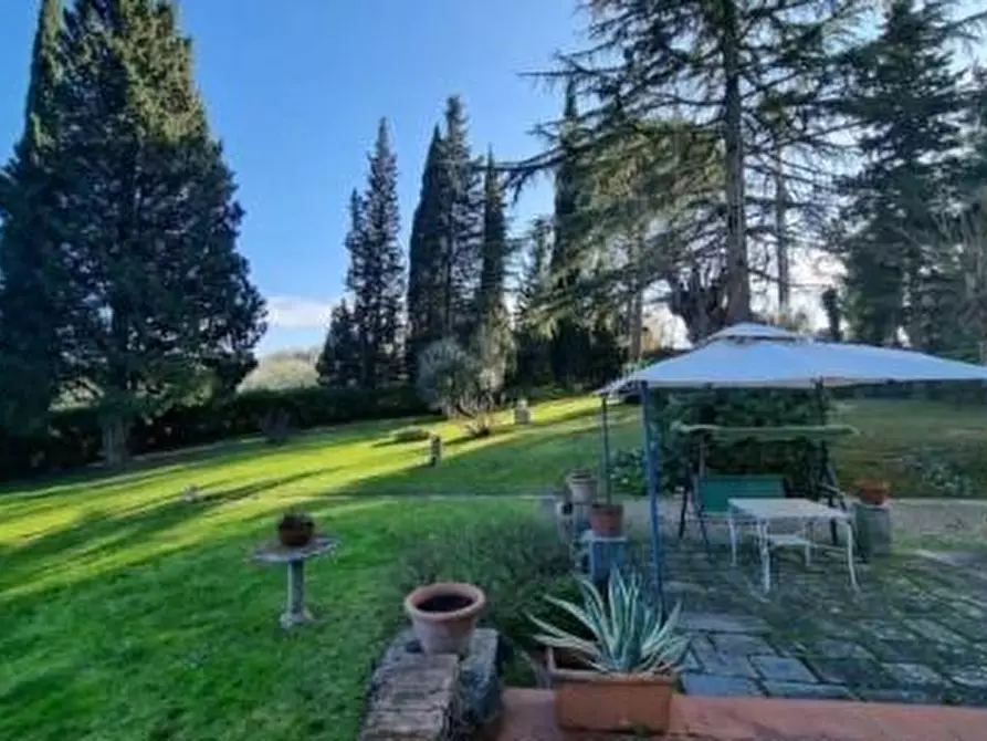 Immagine 4 di Villa in vendita  a Terricciola
