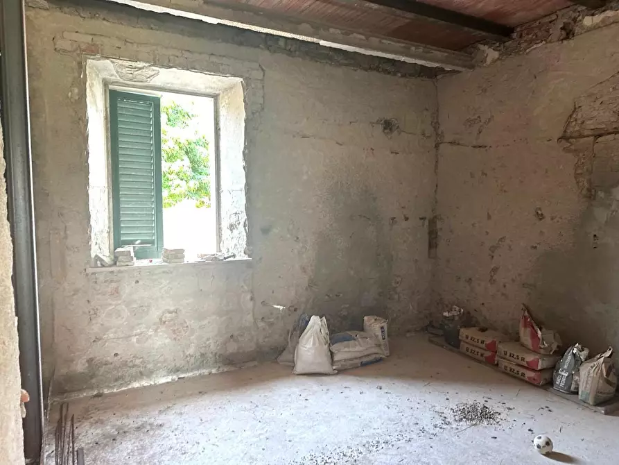 Immagine 12 di Terratetto in vendita  a Capannori