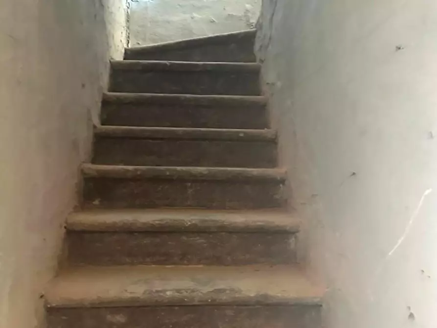 Immagine 11 di Terratetto in vendita  a Capannori