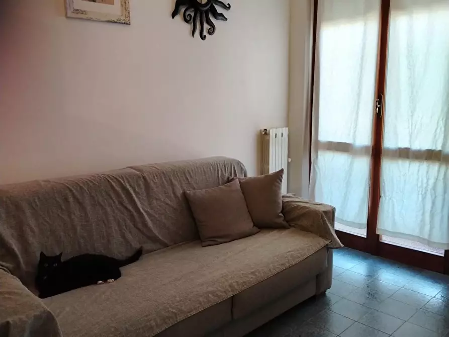 Immagine 12 di Appartamento in vendita  a Carrara