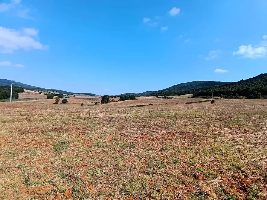 Immagine 29 di Rustico / casale in vendita  a Sovicille