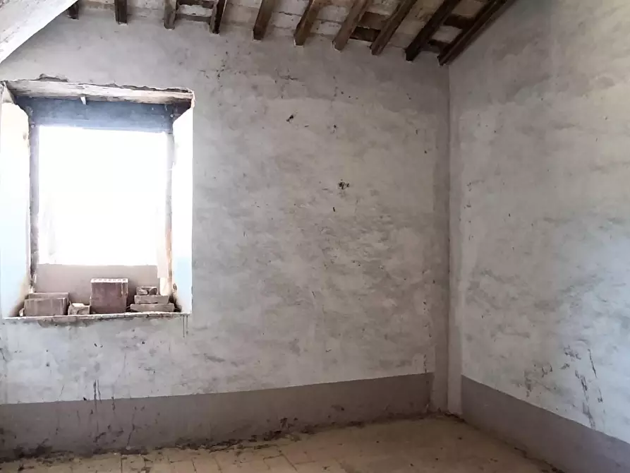 Immagine 9 di Rustico / casale in vendita  a Sovicille
