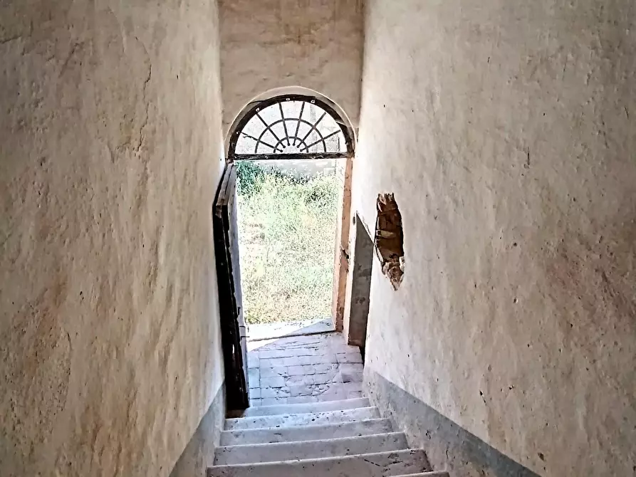 Immagine 7 di Rustico / casale in vendita  a Sovicille