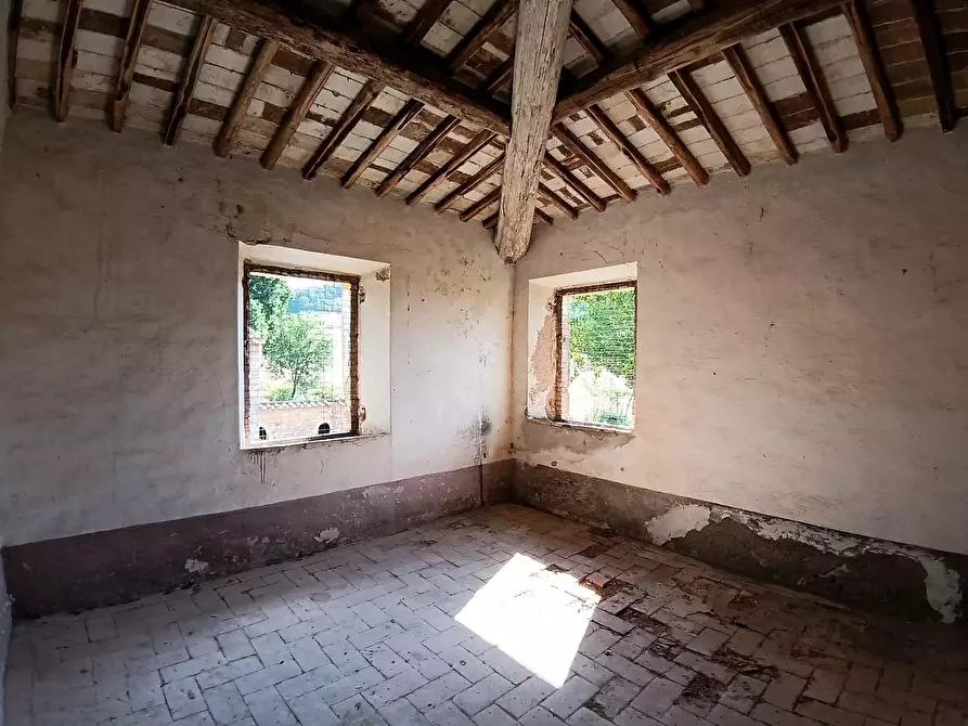 Immagine 17 di Rustico / casale in vendita  a Sovicille