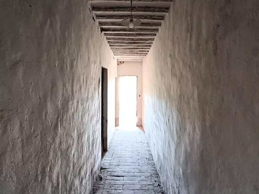 Immagine 11 di Rustico / casale in vendita  a Sovicille