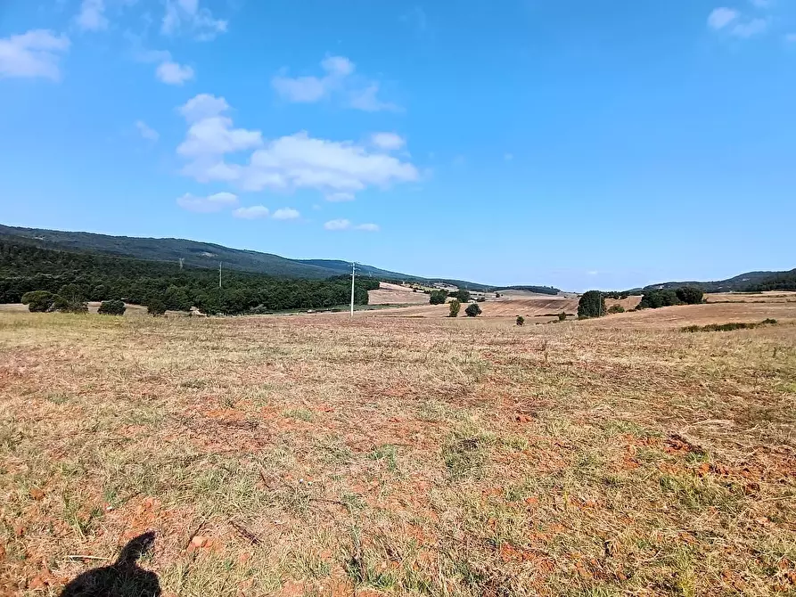 Immagine 30 di Rustico / casale in vendita  a Sovicille
