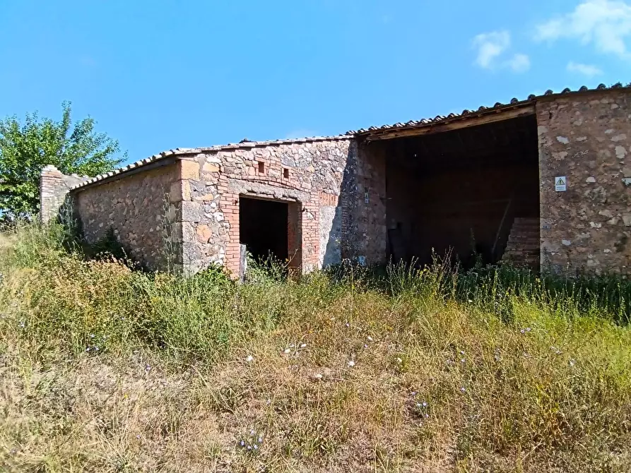 Immagine 3 di Rustico / casale in vendita  a Sovicille