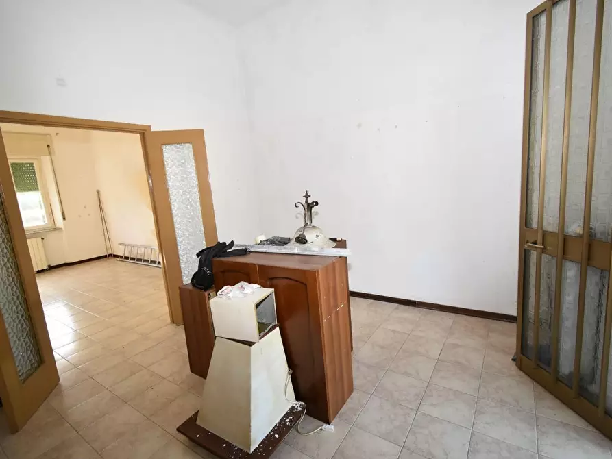Immagine 4 di Villa in vendita  a Vecchiano