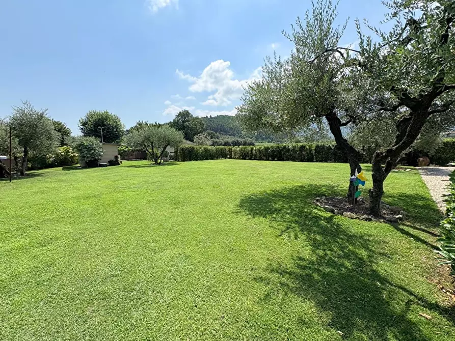 Immagine 41 di Villa in vendita  a Capannori