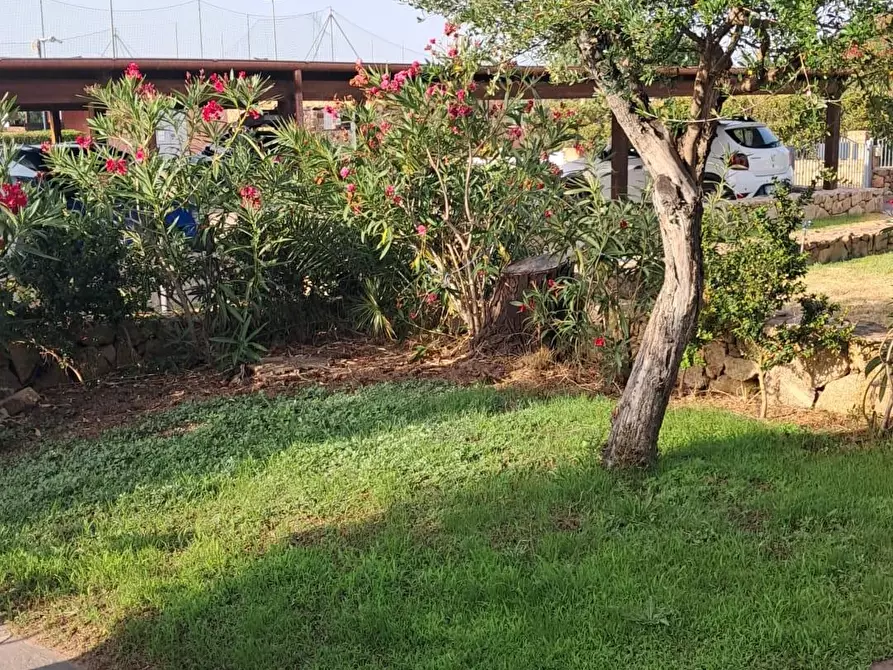 Immagine 3 di Appartamento in vendita  a Olbia