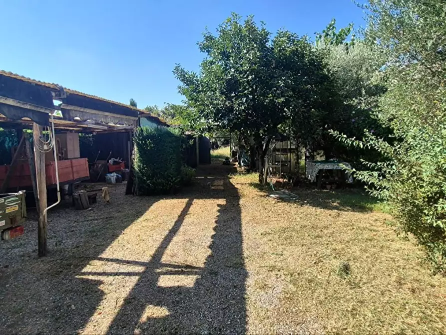 Immagine 25 di Terratetto in vendita  a Capannori