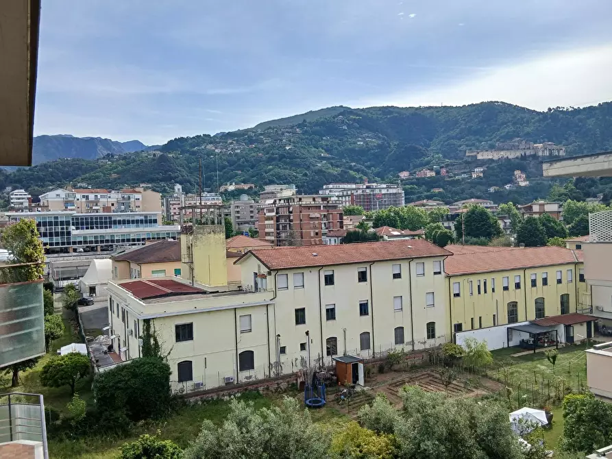 Immagine 13 di Appartamento in vendita  a Massa