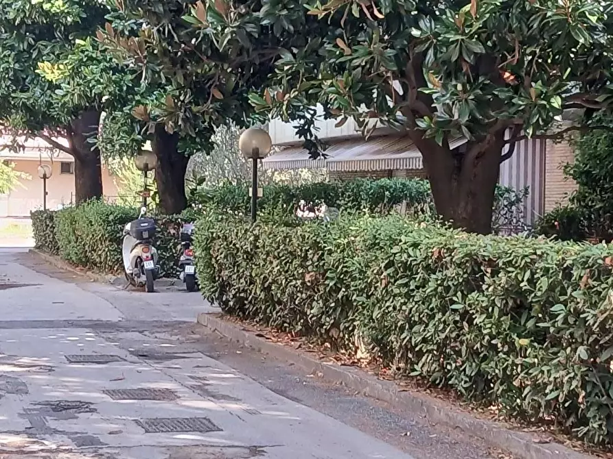 Immagine 19 di Appartamento in vendita  a Massa