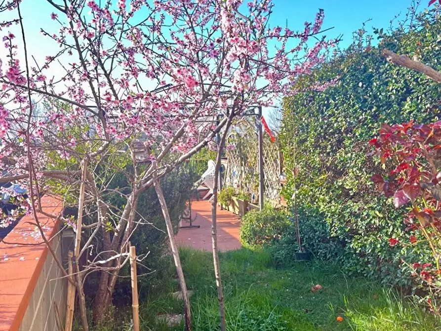 Immagine 18 di Appartamento in vendita  a Calcinaia