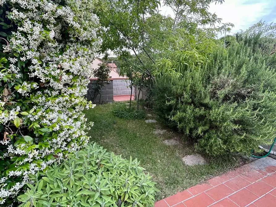 Immagine 19 di Appartamento in vendita  a Calcinaia