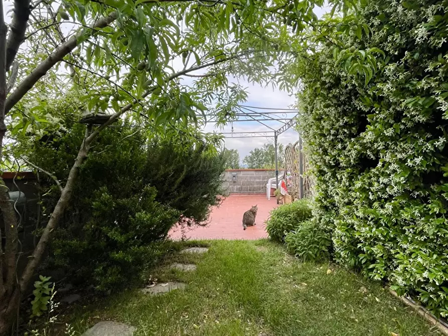 Immagine 20 di Appartamento in vendita  a Calcinaia