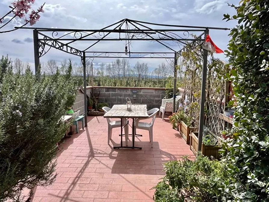 Immagine 17 di Appartamento in vendita  a Calcinaia