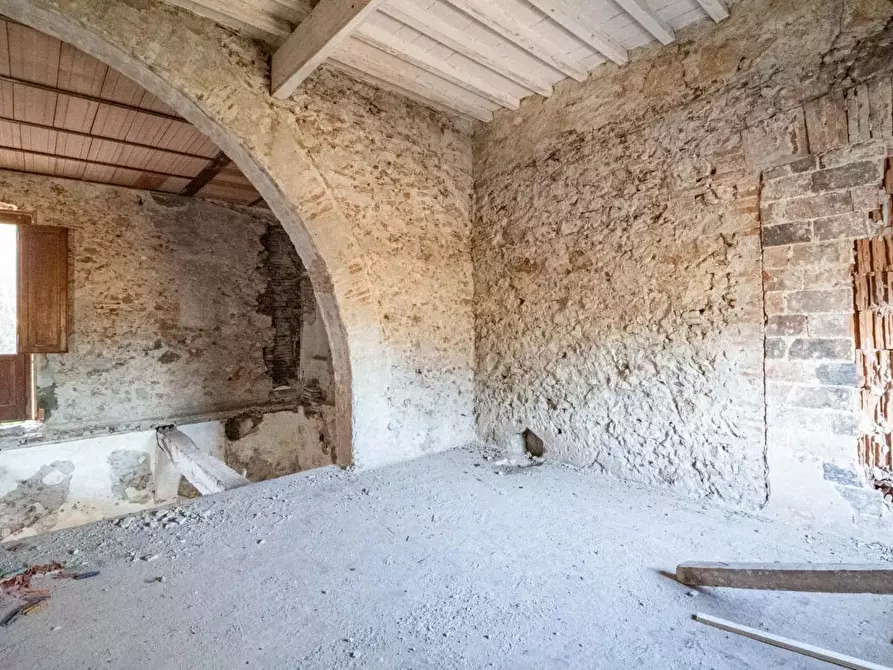 Immagine 19 di Appartamento in vendita  a Vecchiano