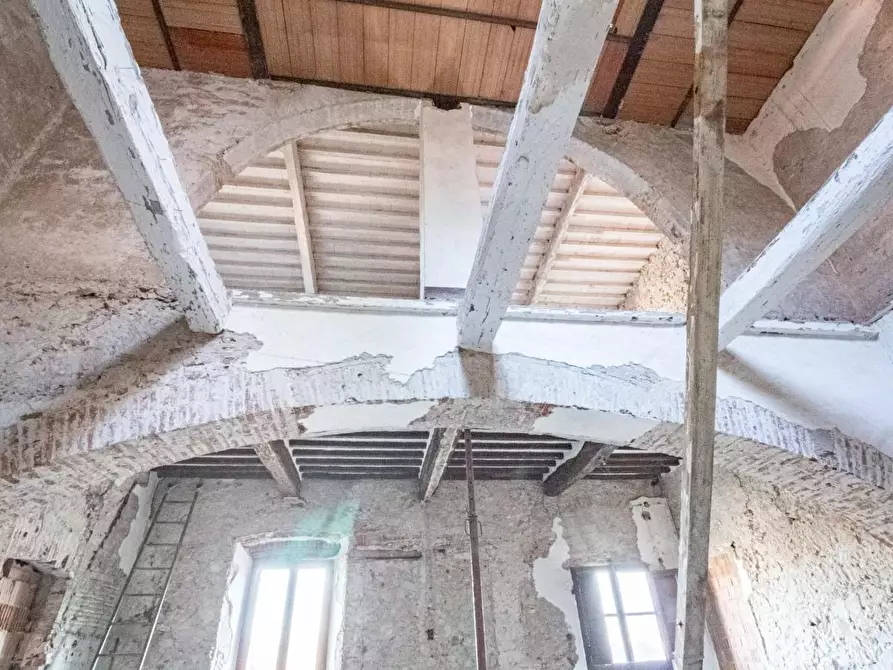Immagine 14 di Appartamento in vendita  a Vecchiano