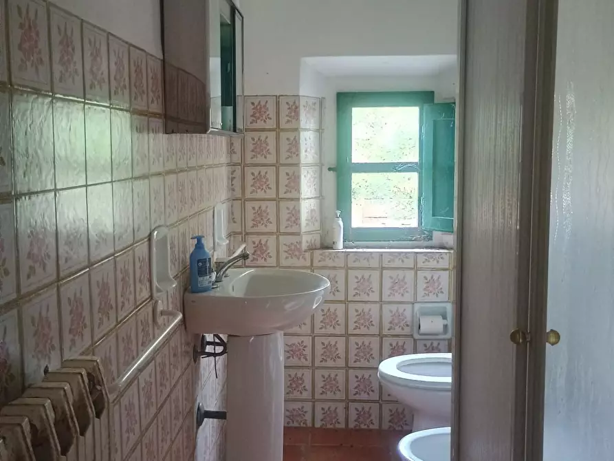 Immagine 17 di Rustico / casale in vendita  a Peccioli