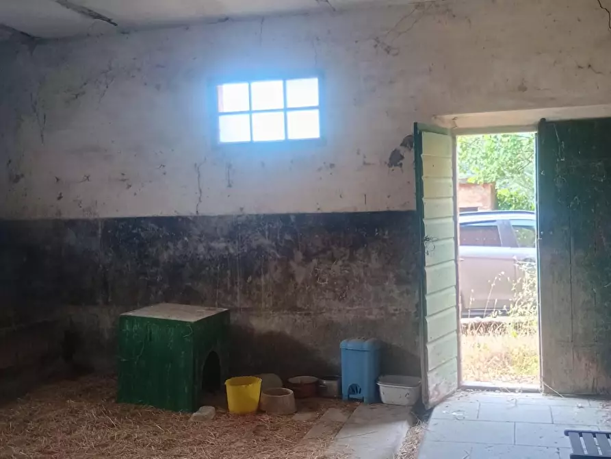 Immagine 24 di Rustico / casale in vendita  a Peccioli