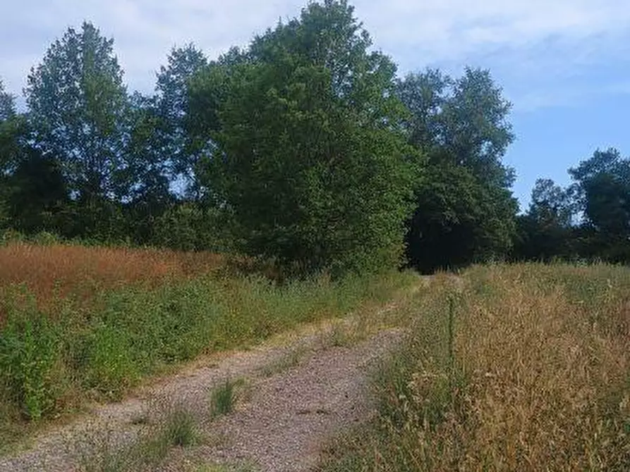 Immagine 8 di Rustico / casale in vendita  a Peccioli