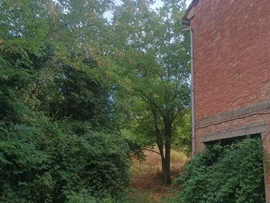 Immagine 7 di Rustico / casale in vendita  a Peccioli