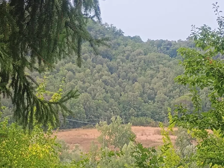 Immagine 6 di Rustico / casale in vendita  a Peccioli