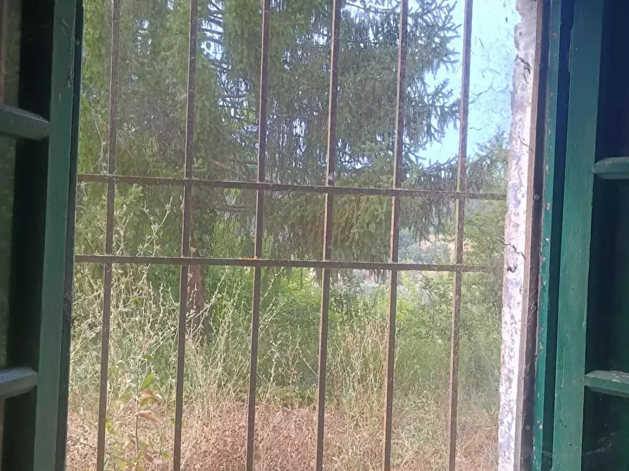 Immagine 22 di Rustico / casale in vendita  a Peccioli